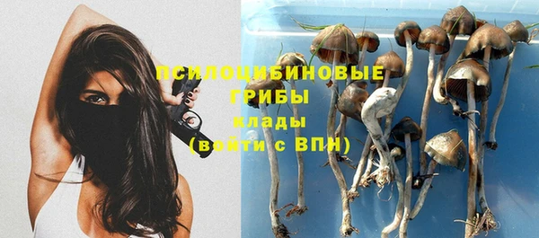 индика Алексеевка